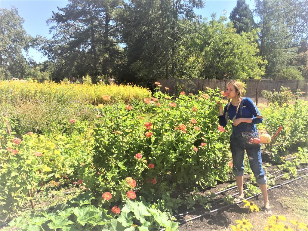 Napa Farmhouse Inn Сент-Хелина Экстерьер фото