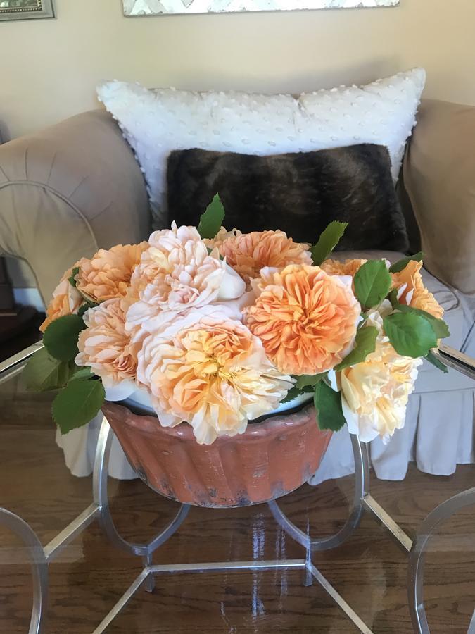 Napa Farmhouse Inn Сент-Хелина Экстерьер фото